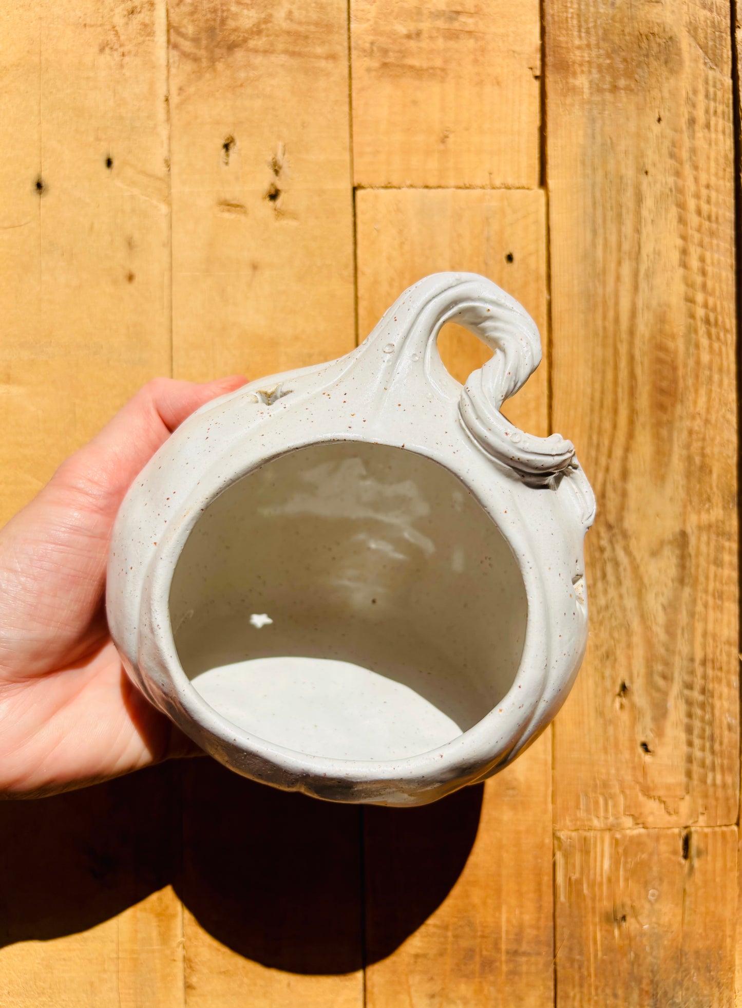 Grande citrouille - photophore blanc moucheté