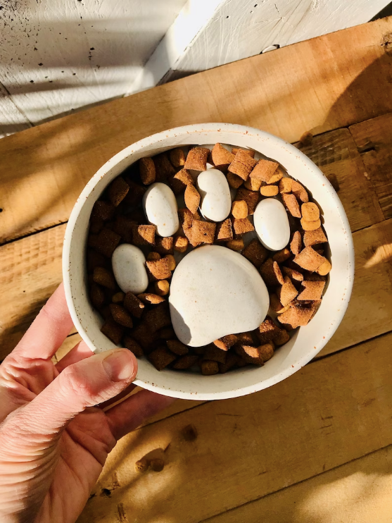 Anti-glutton bowl with paw pattern