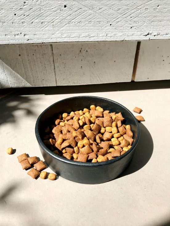 Pet bowl with black moon pattern