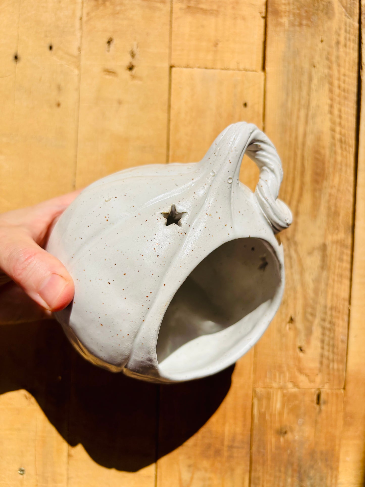 Grande citrouille - photophore blanc moucheté