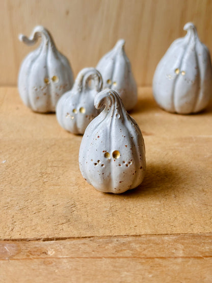 Citrouille miniature blanc pyrité et or - 3