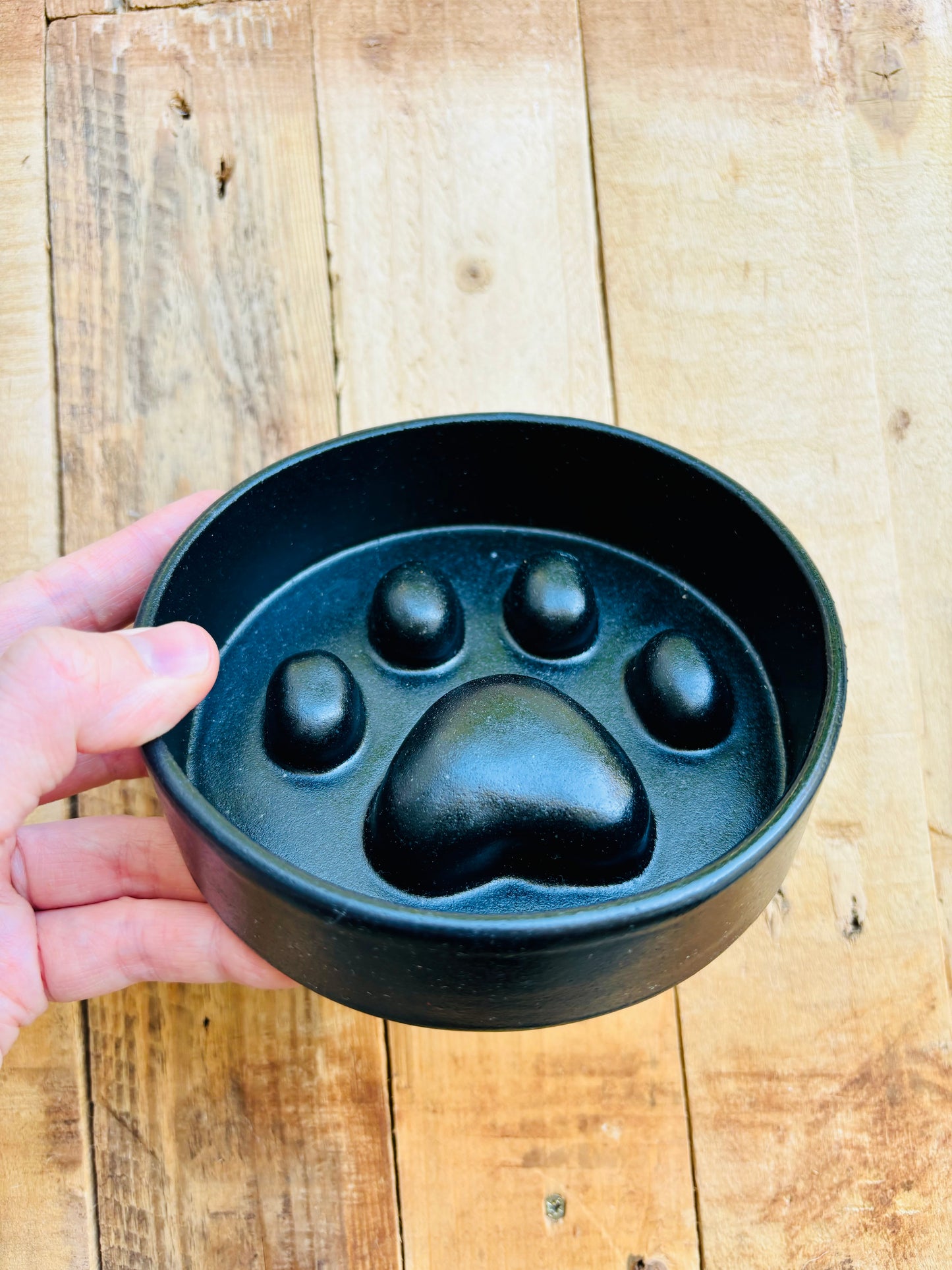 Anti-glutton bowl with paw pattern - in stock