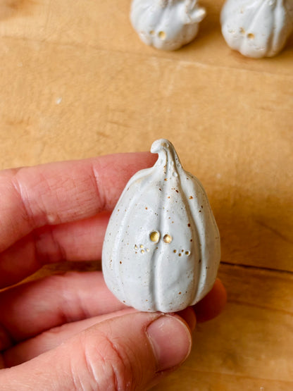 Citrouille miniature blanc pyrité et or - 4