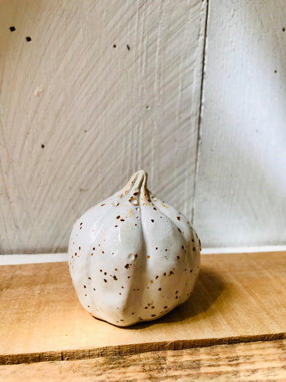 Small pumpkin - spotted white