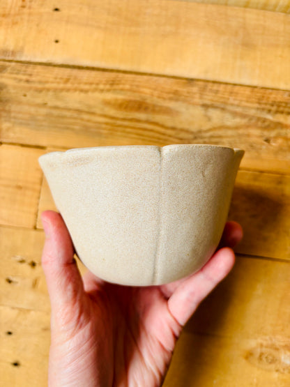 Bol citrouille beige - 1 imparfait