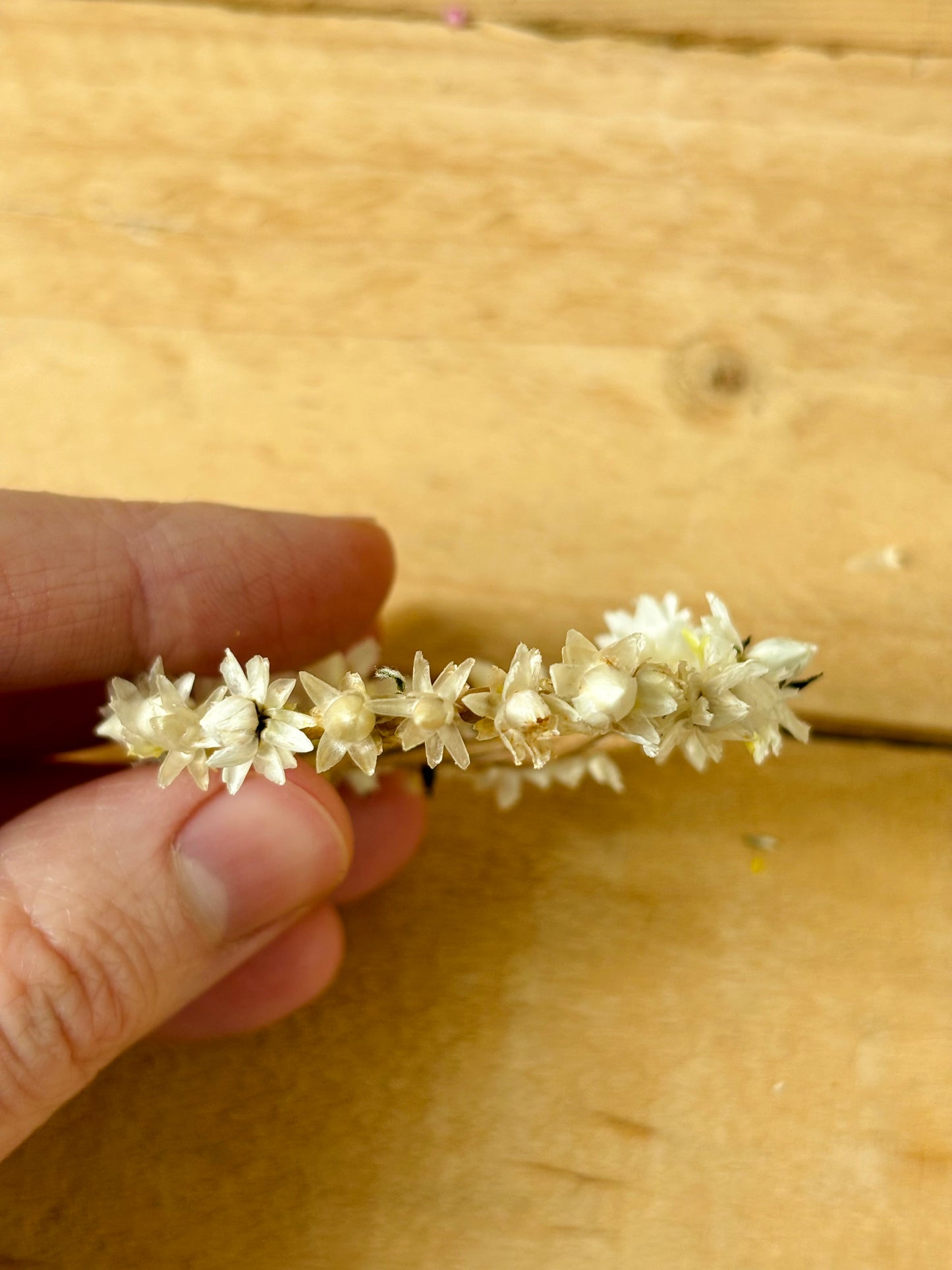 Petite couronne de fleurs séchées - 7