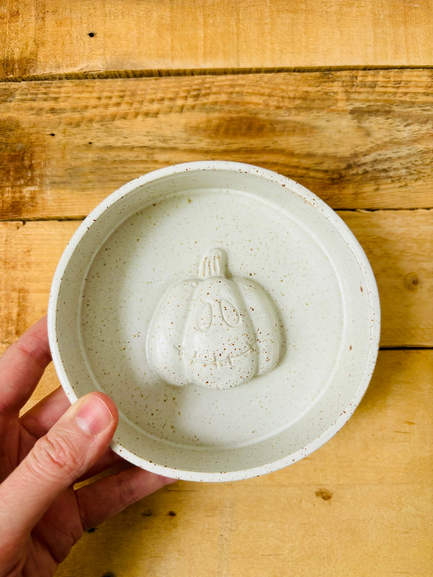 Anti-glutton bowl with paw pattern - in stock