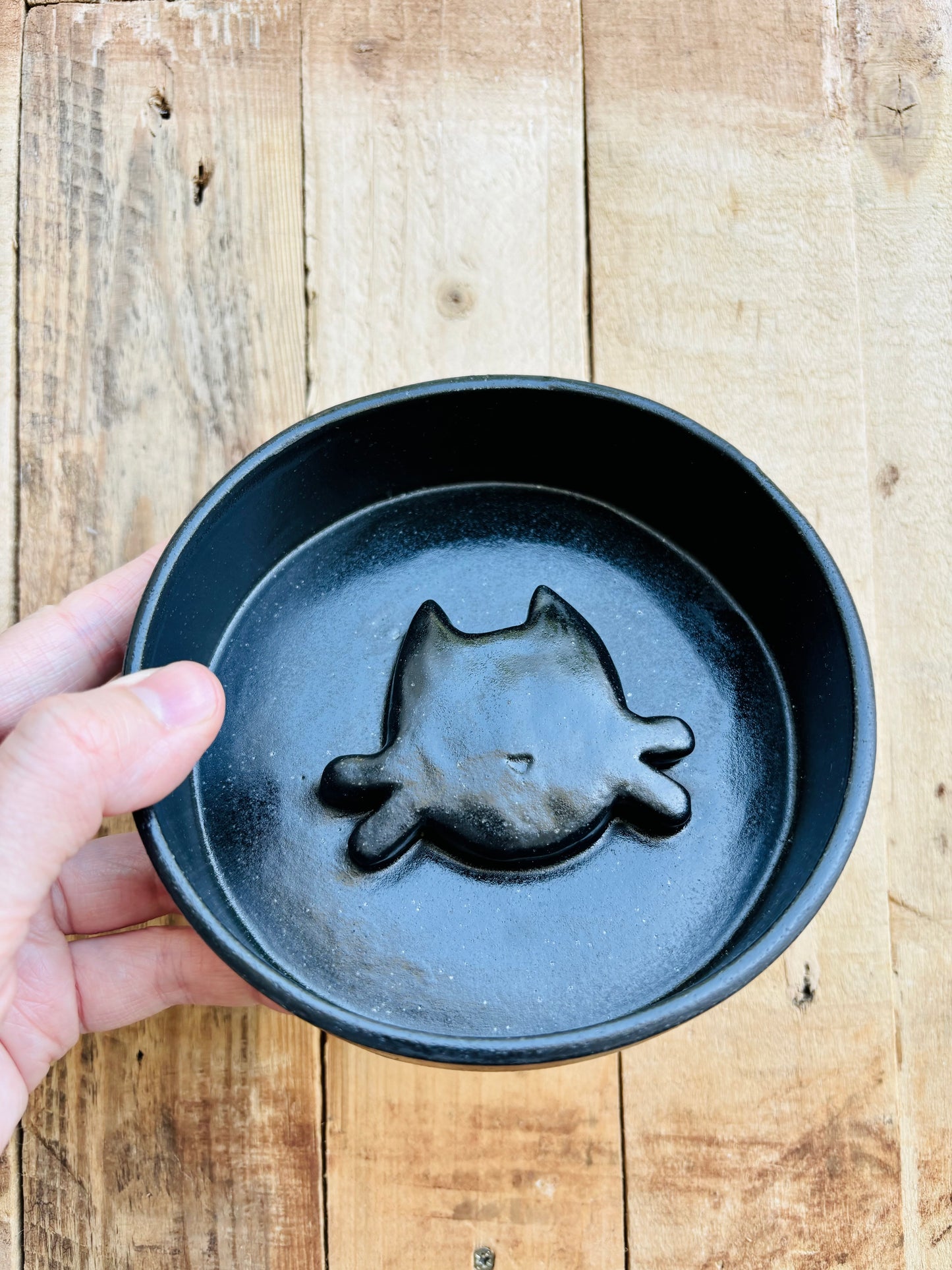 Anti-glutton bowl with black cat pattern and golden nose - in stock