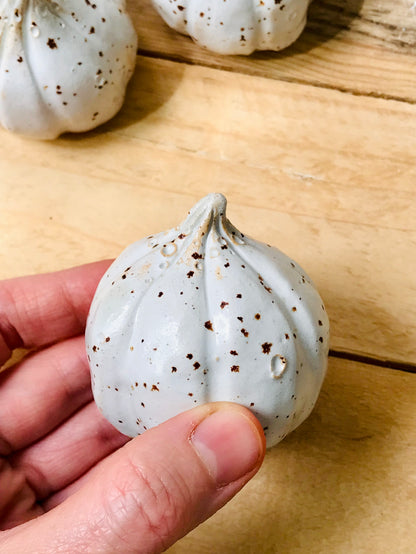 Small pumpkin - spotted white