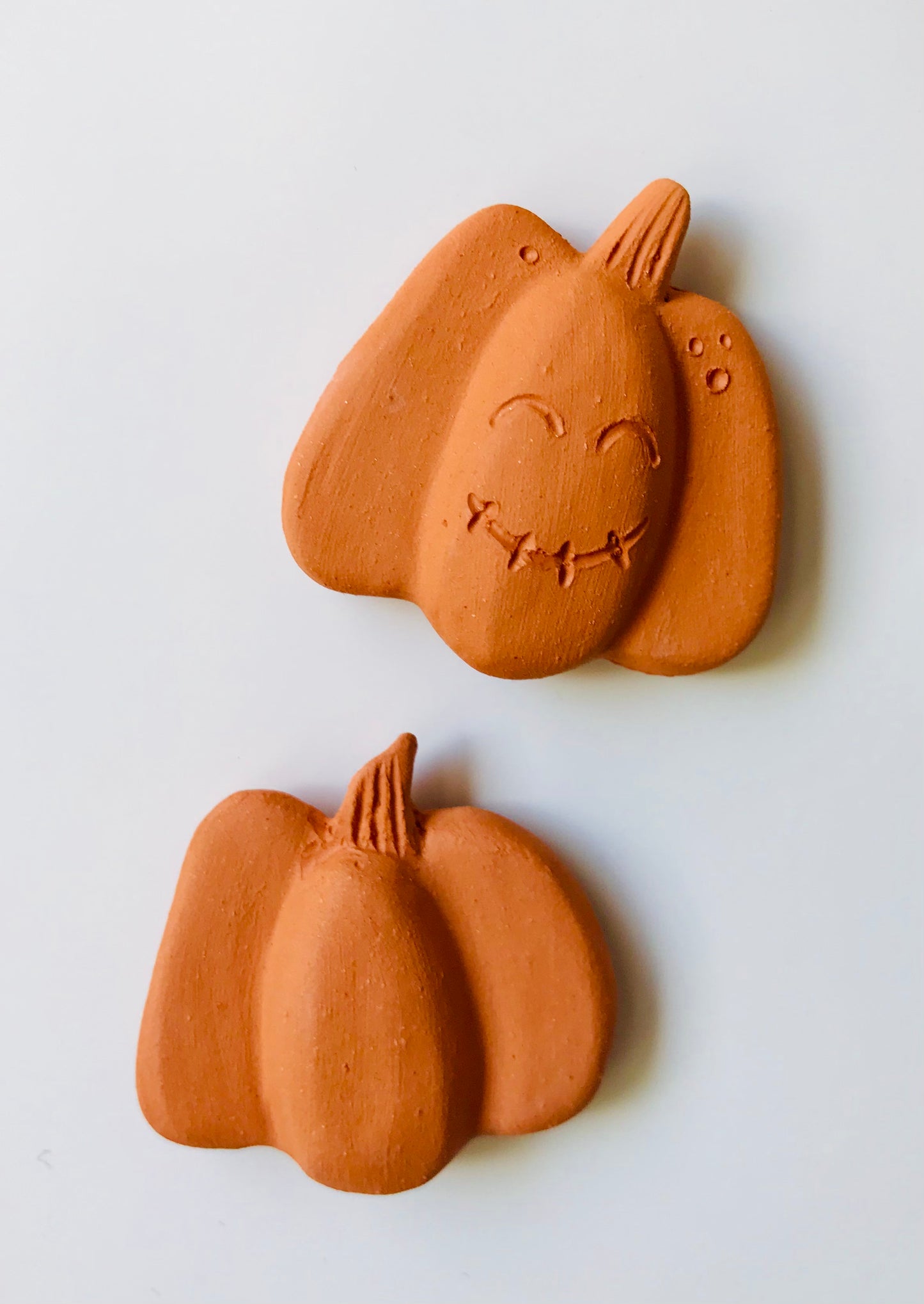 Two pumpkins - orange magnets