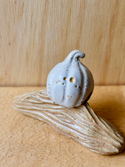 Citrouille miniature blanc pyrité et or