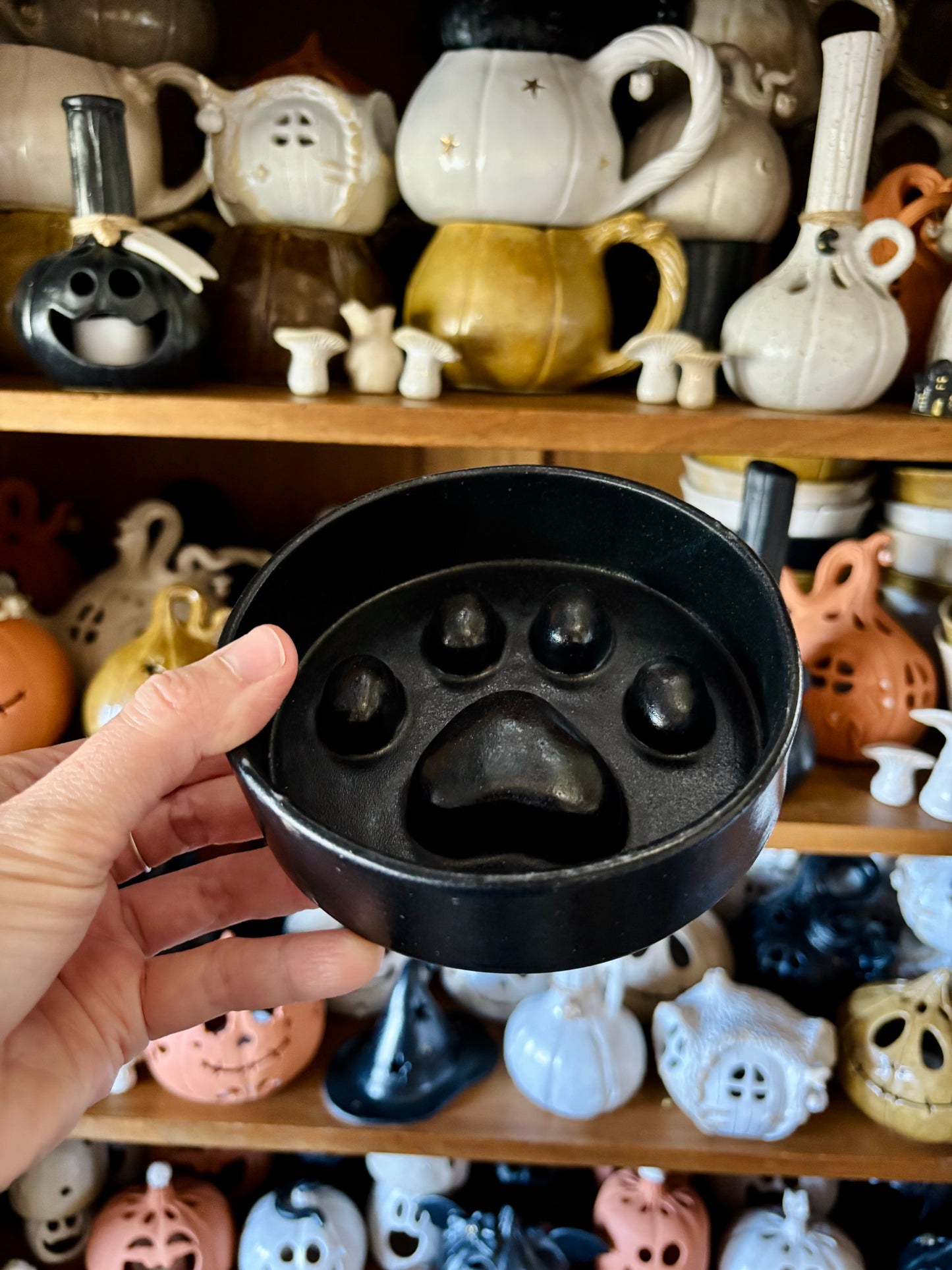 Anti-glutton bowl with paw pattern - in stock