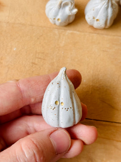 Citrouille miniature blanc pyrité et or - 2