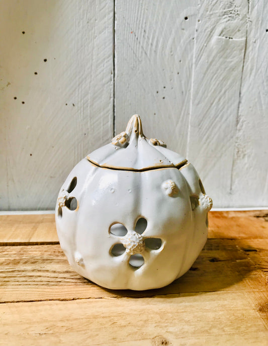 Pumpkin with flowers - white diffuser