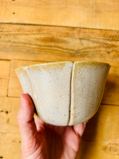 Bol citrouille beige - 2