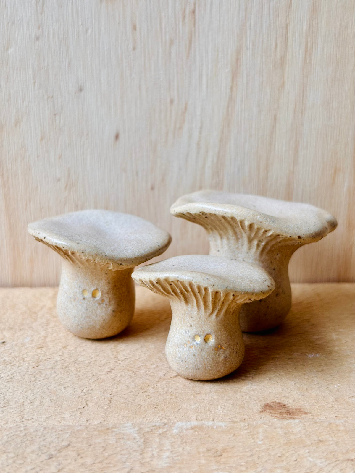LEON GRAND - champignon miniature beige pyrité et or