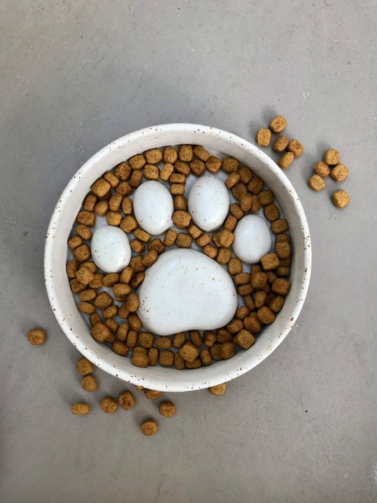 Anti-glutton bowl with paw pattern