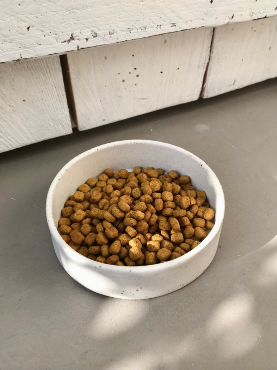 Pet bowl with paw pattern