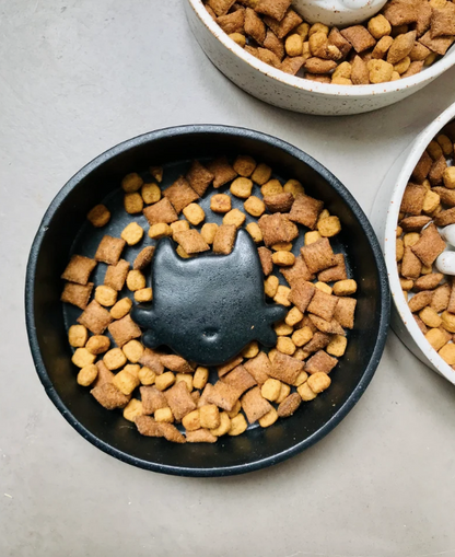 Anti-glutton bowl with black cat pattern