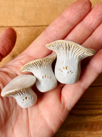 LEON MOYEN - champignon miniature blanc pyrité et or