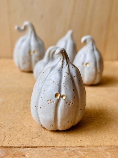 Citrouille miniature blanc pyrité et or - 4