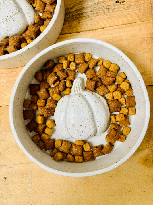 Anti-glutton bowl with paw pattern - in stock