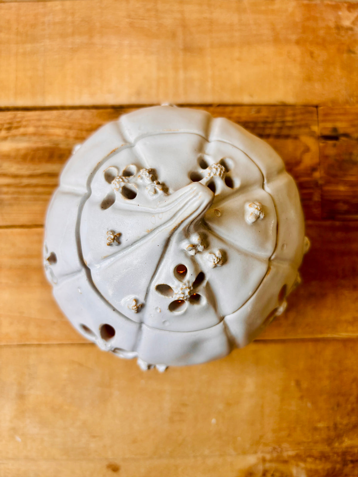 Grande citrouille en fleurs - boite photophore blanc