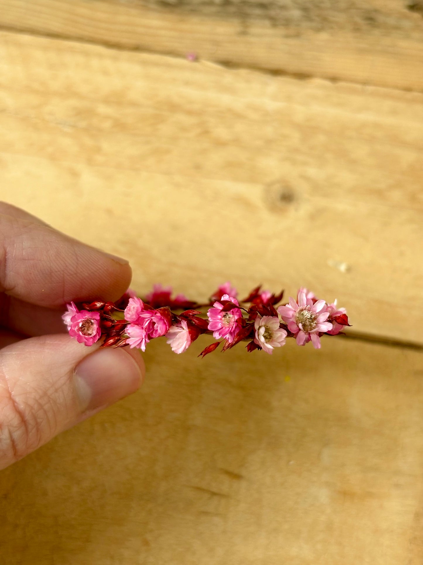 Petite couronne de fleurs séchées - 8