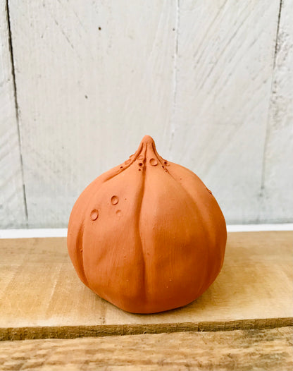 Small pumpkin - orange