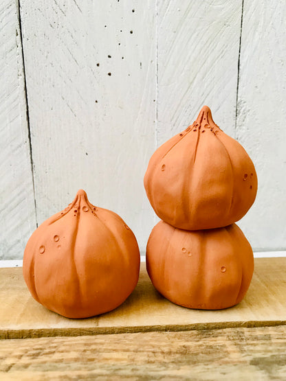 Small pumpkin - orange