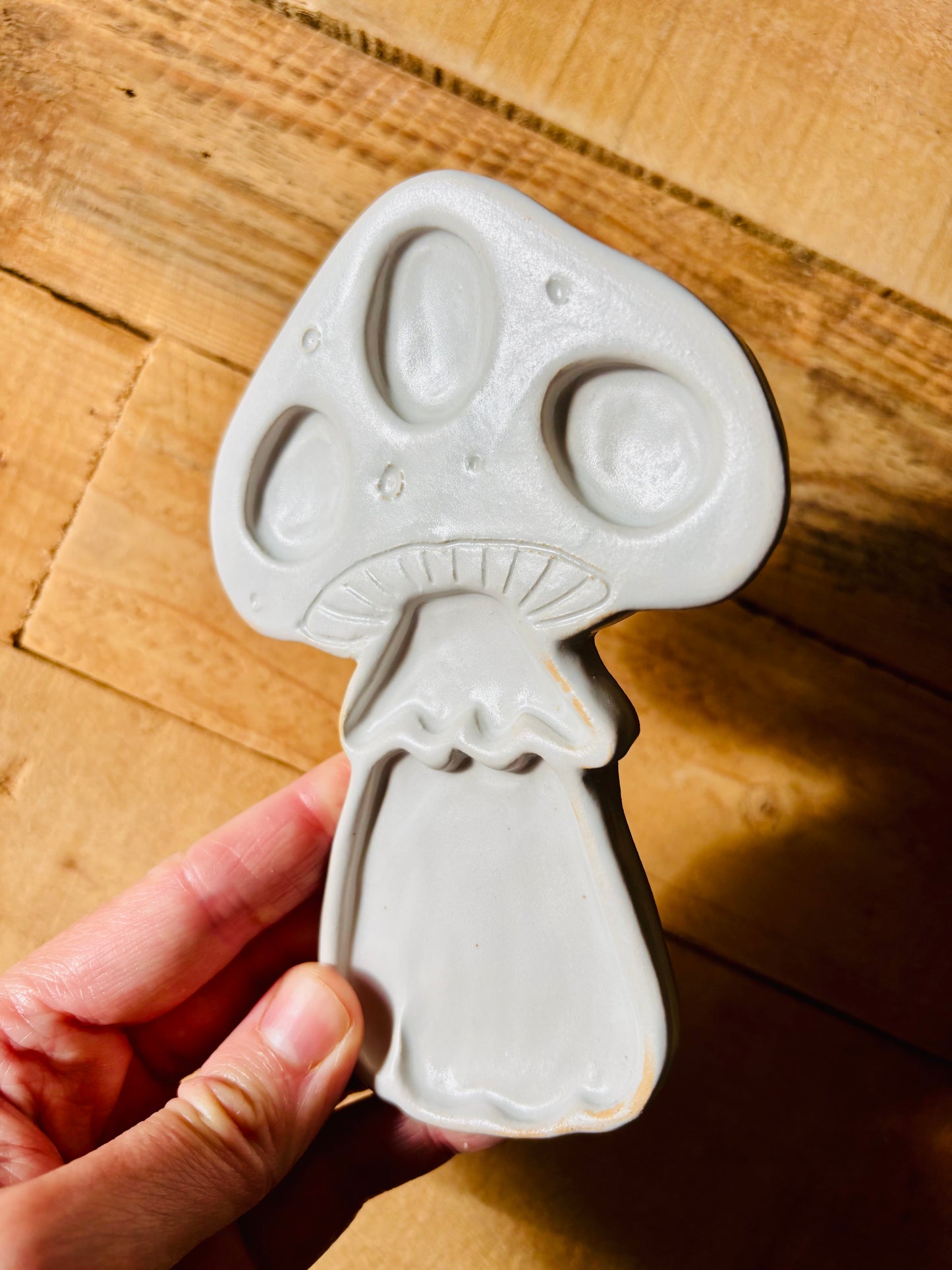 Champignon palette aquarelle blanche