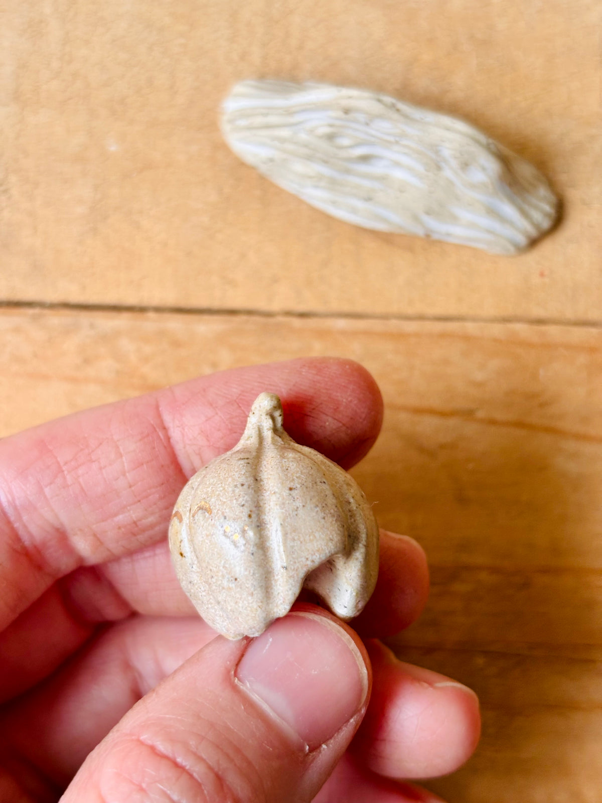 Citrouille miniature beige pyrité et or