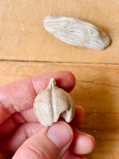 Citrouille miniature beige pyrité et or